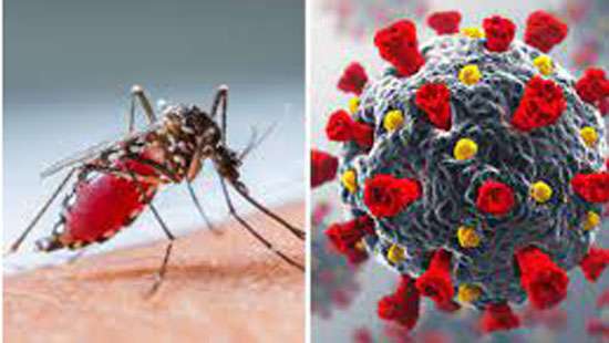 Children infected with Dengue, COVID-19 on the rise at LRH: Paediatrician