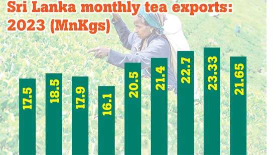 Tea exports surge by 7.5% YoY in September, reaching 23.16 MnKgs
