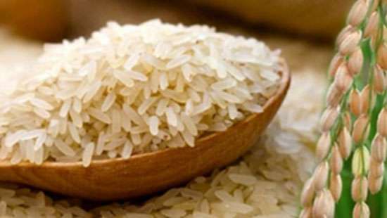 Price control of rice remains unchanged: Govt.