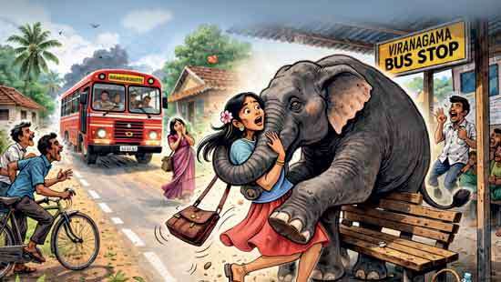 Garment worker killed  by elephant
