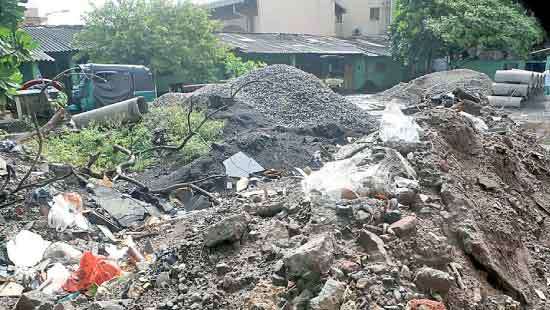 Chikungunya, Dengue surge;  local authorities fail in clean–up