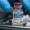 Expired rabies vaccine claim sparks fresh controversy; Health Secretary yet to respond
