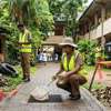 Special Dengue prevention drive rolled out across all schools