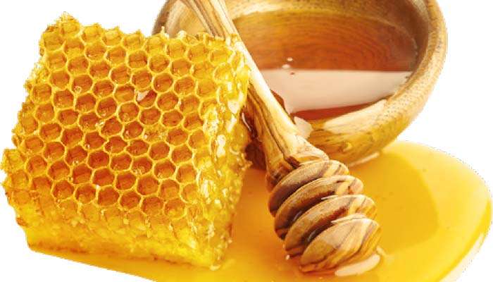 Sri Lanka’s honey industry stung by bitter shortfalls