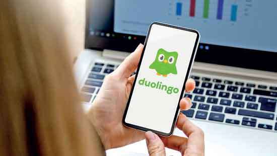 The Little Green Owl That Turned Language Learning Into a Daily Habit