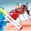 Over 160 MOH areas declared high-risk zones as dengue cases top 76,000