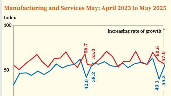 Manufacturing and services PMI expand in May