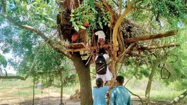 Family found living in treehouse due to lack of permanent home