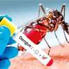Over 1,000 Dengue cases logged in 24 hours