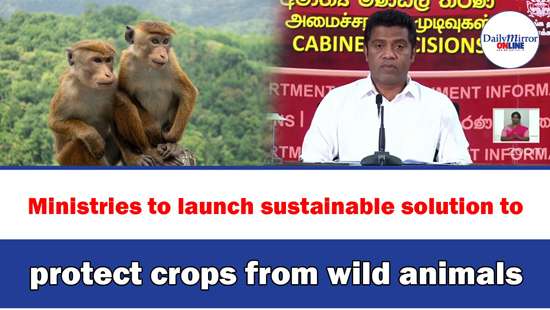 Ministries to launch sustainable solution to protect crops from wild animals