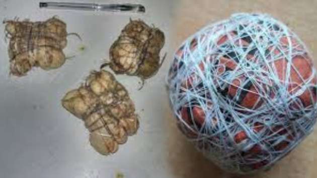 Govt cracks down on illegal ‘Hakka Patas’ and ‘Cheena Patas’ explosives