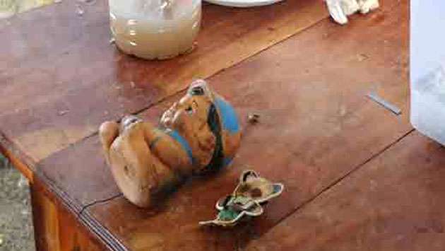 Infant’s skeleton, toy, school bag unearthed at Chemmani mass grave