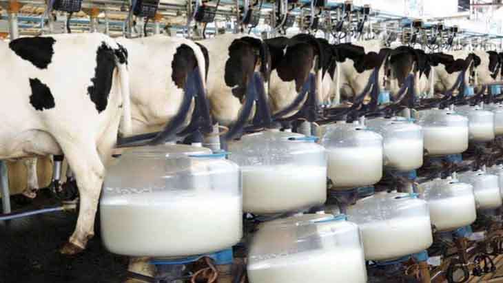 SL to ink MoU with US Dept. of Agriculture to boost milk production