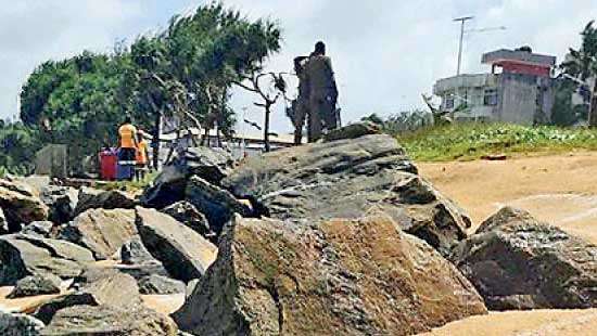 A not-so-bright period for Sri Lanka’s flora and fauna