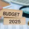 Budget proposals for 2025 to be presented on January 9