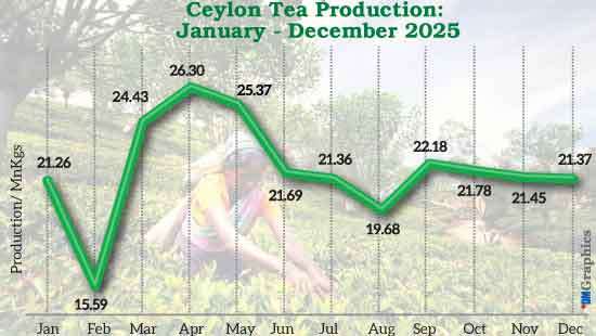 Tea sector steadies as full-year output rises despite December drop