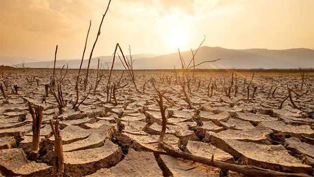 Number affected by El Niño climbs to 84,546 as vegetable prices set to rise - Breaking News