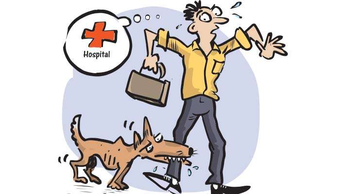 Doctors warn public not to delay Rabies treatment