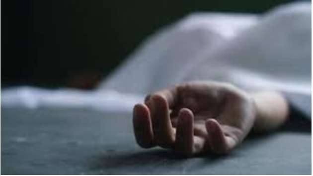 Woman dies after allegedly poisoning her three sons