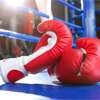 Japan boxing to hold emergency meeting following deaths