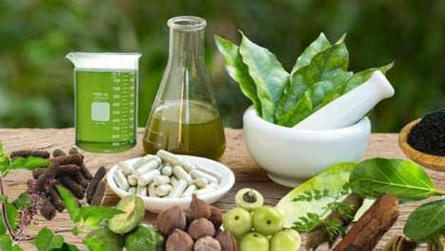 Ayurvedic drug production hit by shortage of key medicinal plants