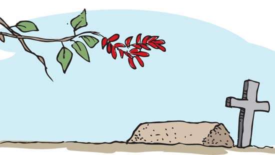 Easter Sunday bombings and an austere New Year