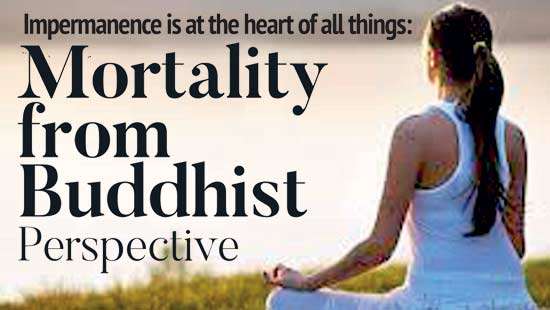 Impermanence is at the heart of all things:Mortality from  Buddhist Perspective