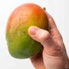 A mango auctioned for Rs. 246,000