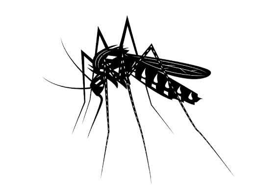 SL goes on alert over Malaria threat