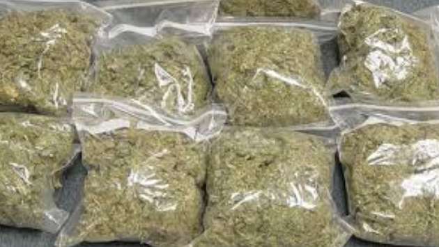 Kerala cannabis worth Rs. 21.6 million seized in Jaffna