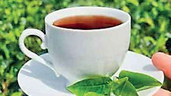 November tea prices dip from last month, maintain YoY gains