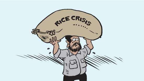 Has the rice crisis been resolved?