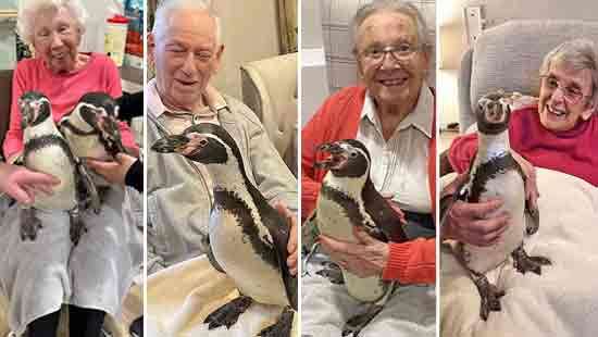 Heartwarming visit to care home residents