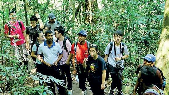 Hong Kong Youth  in search of Gold in Sinharaja