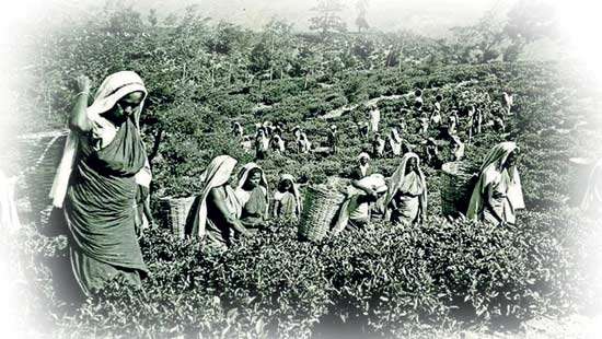 Departure of British rulers from  Ceylon left Tamils high and dry
