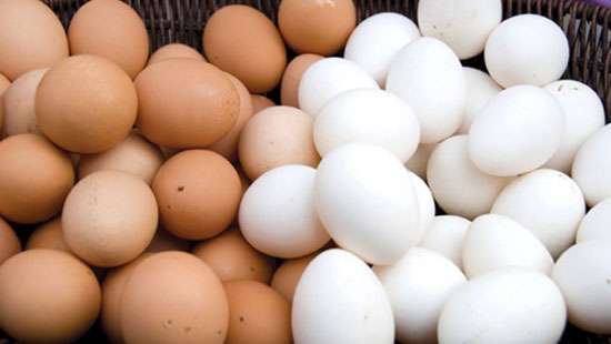 Egg prices likely to go up, faces danger of collapse: AIEPA