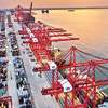 Transshipment volumes fall for third month as Colombo Port faces new competition