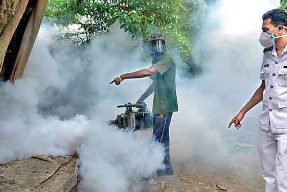 Fight against mosquito breeding on Global Pandemic Preparedness Day