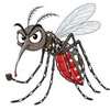 Dengue passes 1,000 cases daily