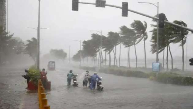 Heavy rain, gusty winds forecast for next 36 hours