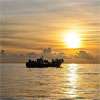 More than 500 Rohingya vanished at sea - what happened?