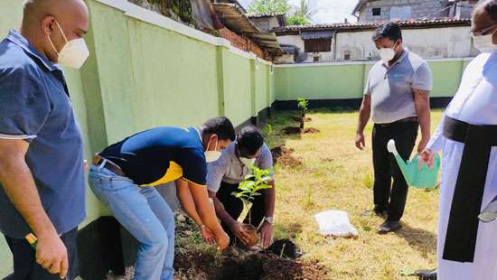 Another edition of “Haritha Saviya” tree planting