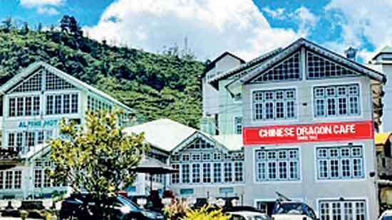 Chinese Dragon Café opens seasonal outlet at Alpine Hotel