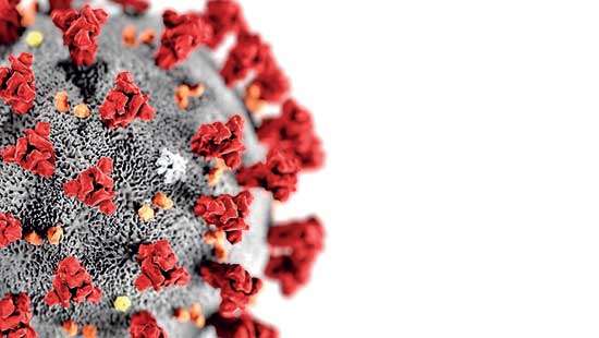 Surviving in the time of coronavirus