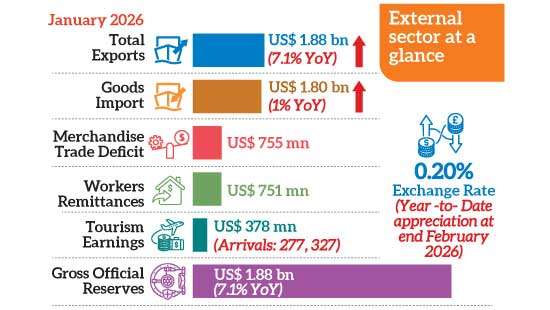 External sector opens 2026 on firm footing
