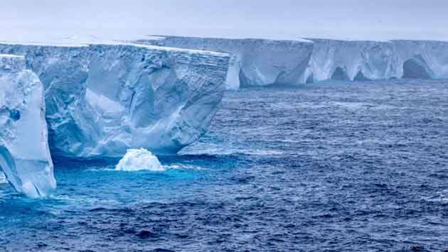 World’s biggest iceberg runs aground off South Georgia