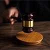Former State Minister Shantha Bandara’s son granted bail
