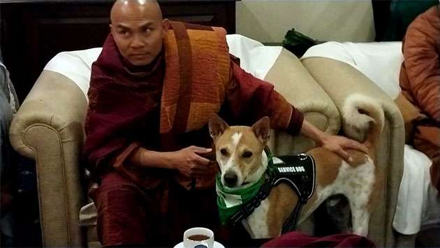 Vietnamese monks arrive for ‘Ehipassiko’ peace walk