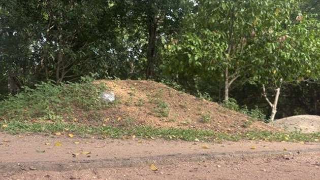 Harsha urges Colombo Mayor to repair damaged Independence Square walking path