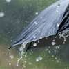Rain expected after 1 p.m. in several provinces